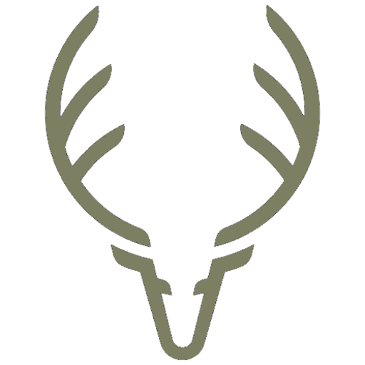 Digital Marketing Company